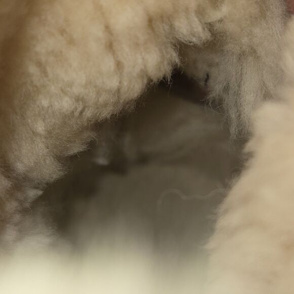 Ugg Australia Classic Short Women Size 7 Tan Sheepskin Winter Pull On Boots 5825 - Picture 7 of 12